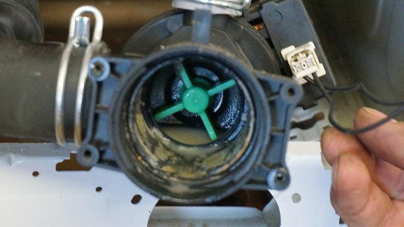 Ratgeber: Die Waschmaschine pumpt nicht ab